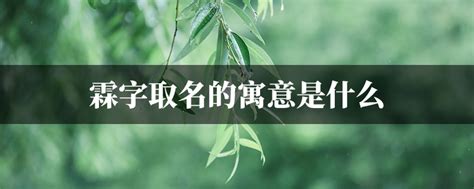 霖取名意思|霖字取名的寓意带霖字宝宝名字